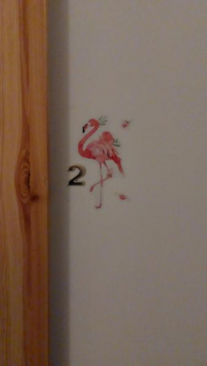 1 Flamingos